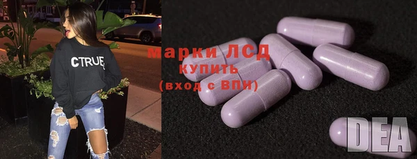 сатива Гусиноозёрск