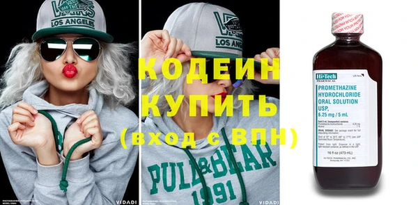 индика Туринск
