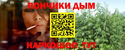 спиды Бийск