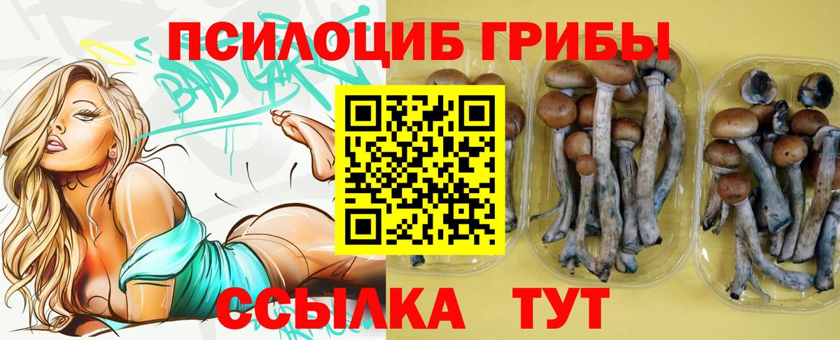 Галлюциногенные грибы MAGIC MUSHROOMS  Елабуга  Псилоцибиновые грибы MAGIC MUSHROOMS 