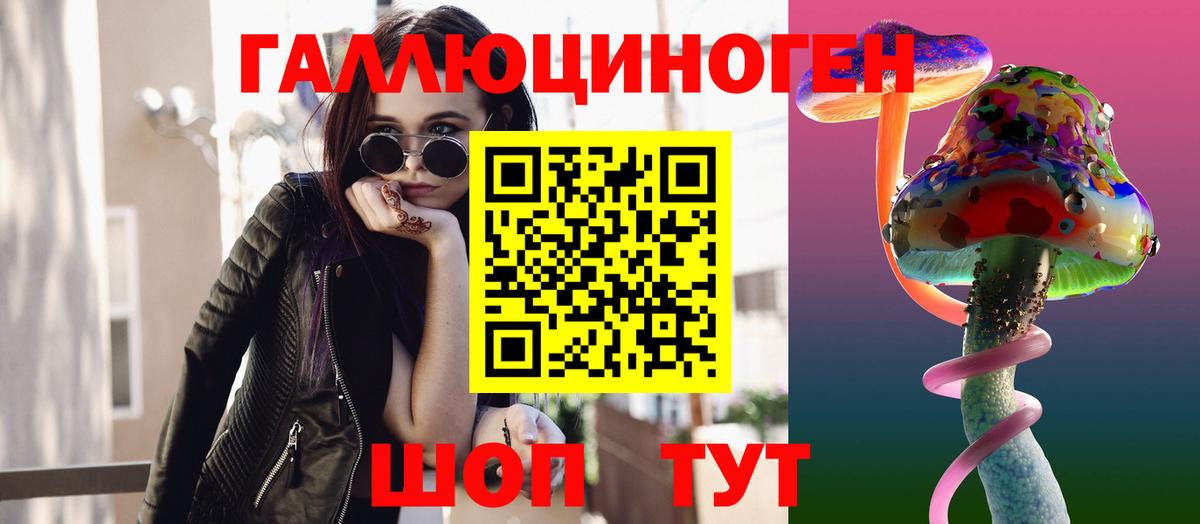 Псилоцибиновые грибы Psilocybe Елабуга