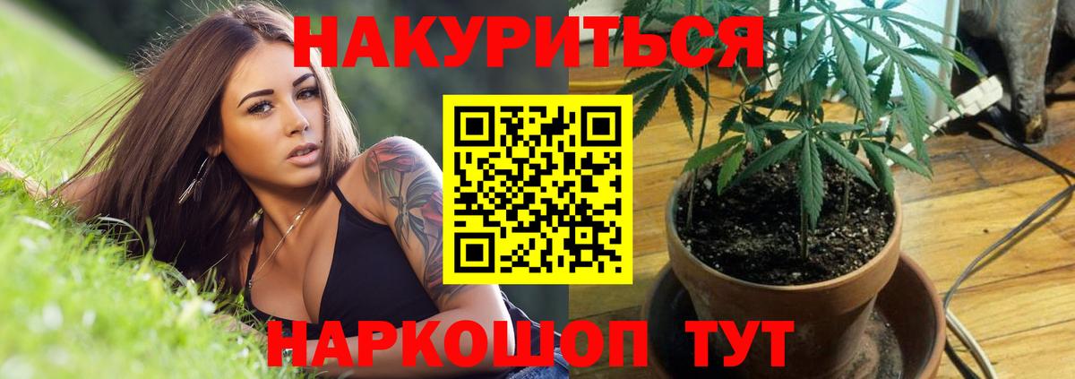 Бошки Шишки план  Каннабис планчик  Шишки марихуана конопля  Вход с VPN  Елабуга 